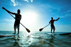 visa nz c1/d Cruise on Gap Year Ships Working visa nz c1/d Cruise on Gap Year Ships Working