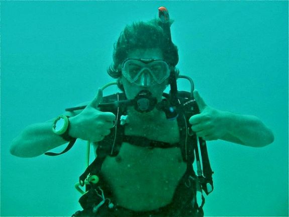A short gap year spent diving would be fun A short gap year spent diving would be fun