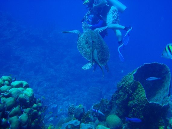 Belize Barrier Reef