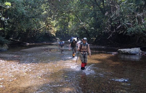 Jungle trekking