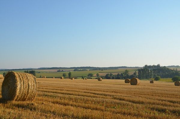 The countryside of France